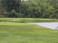 ad6e4988 02b3b0d a21e c6c4d43a1d16