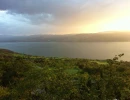 d7b000a6 8aeb 48b5 80c4 f9b266d9546b 1 c