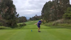 867afa78 d5cd 4e78 93db 36c6eb90cd3b 1 c