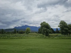 img 1368